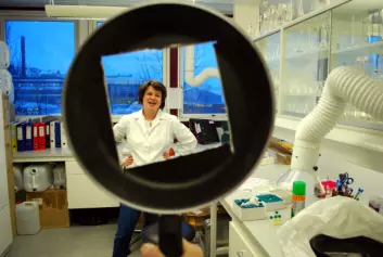 Et firkanta hull i ei steikepanne er faktisk en del av forskninga på det avanserte laboratoriet ved NILUs avdeling på Polarmiljøsentret i Tromsø. Seniorforsker Dorte Herzke kan måle mulige giftstoffer i teflonbelegget. (Foto: Helge M. Markusson)