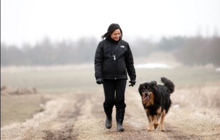 "En halvtimes tur med bikkja i rask gange gir like stor helseeffekt som en hard treningsøkt, ifølge Åse Bårdsen og Eline Thornquist. (Foto: www.colorbox)" "En halvtimes tur med bikkja i rask gange gir like stor helseeffekt som en hard treningsøkt, ifølge Åse Bårdsen og Eline Thornquist. (Foto: www.colorbox)"