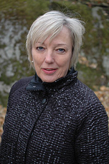 Siri Meyer, professor i kunsthistorie. (Foto: Kim E. Andreassen) Siri Meyer, professor i kunsthistorie. (Foto: Kim E. Andreassen)