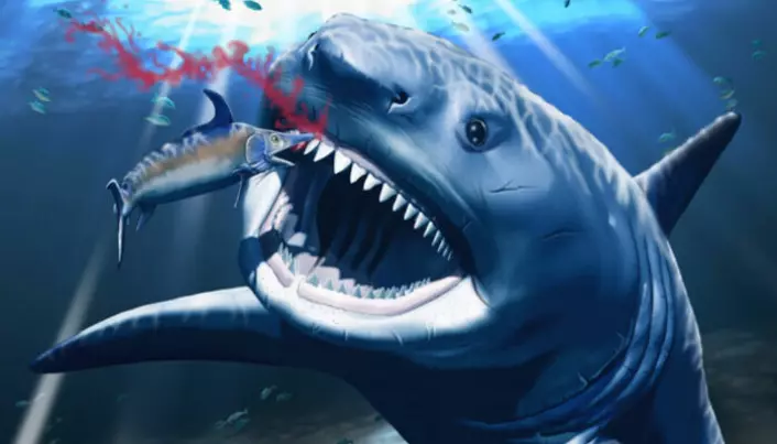 Kanskje ble Megalodon skadet av en type sverdfisk, sånn som på denne illustrasjonen?