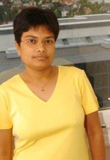 Amanuensis Rina Ray, Institutt for foretaksøkonomi,NHH. Amanuensis Rina Ray, Institutt for foretaksøkonomi,NHH.