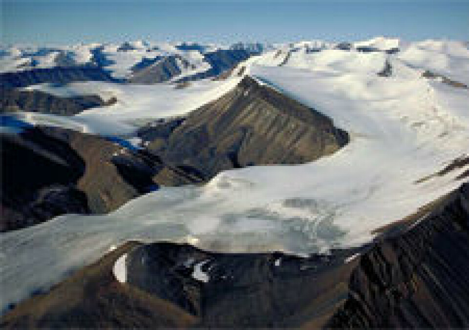 Axel Heiberg Island i kanadiske Arktis kan vere ein moderne analog til den polare ørkenen i Rondane og Dovre under siste istid. Her kan planter ha klart seg i dei isfrie sørhellingane. (Foto: Jürg Alean)