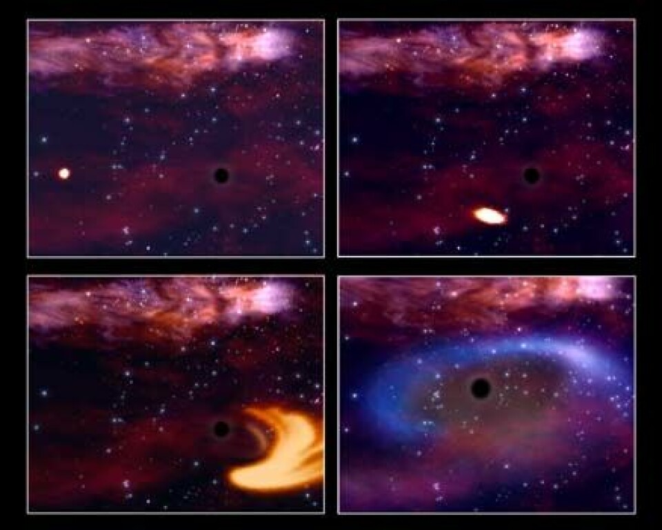 'En stjerne kommer for nært et sort hull og blir til en sky av gass. Litt av gassen slukes av hullet, mens mesteparten kastes ut igjen i rommet. (Illustrasjon: ESA)'