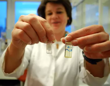 Dorte Herzke viser fram en prøve som har en størrelse på en tusendels milliliter. (Foto: Helge M. Markusson)