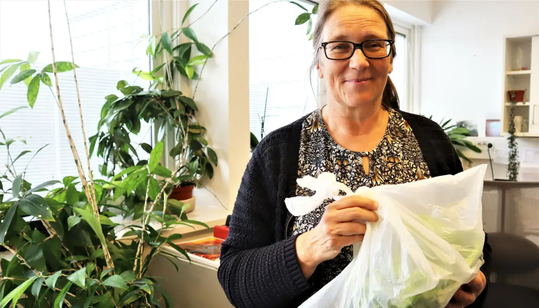 Hos NIBIOS planteklinikk kan du få svar på hva som feiler plantene dine. Marit Helgheim mottar prøver og bilder, og fordeler dem ut til diagnostisering hos ulike forskere. Hos NIBIOS planteklinikk kan du få svar på hva som feiler plantene dine. Marit Helgheim mottar prøver og bilder, og fordeler dem ut til diagnostisering hos ulike forskere.