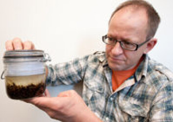 I løpet av sommeren håper insektforsker Geir Søli å finne to til tre hundre nye arter, halvparten fluer og halvparten veps. (Foto: Yngve Vogt) I løpet av sommeren håper insektforsker Geir Søli å finne to til tre hundre nye arter, halvparten fluer og halvparten veps. (Foto: Yngve Vogt)