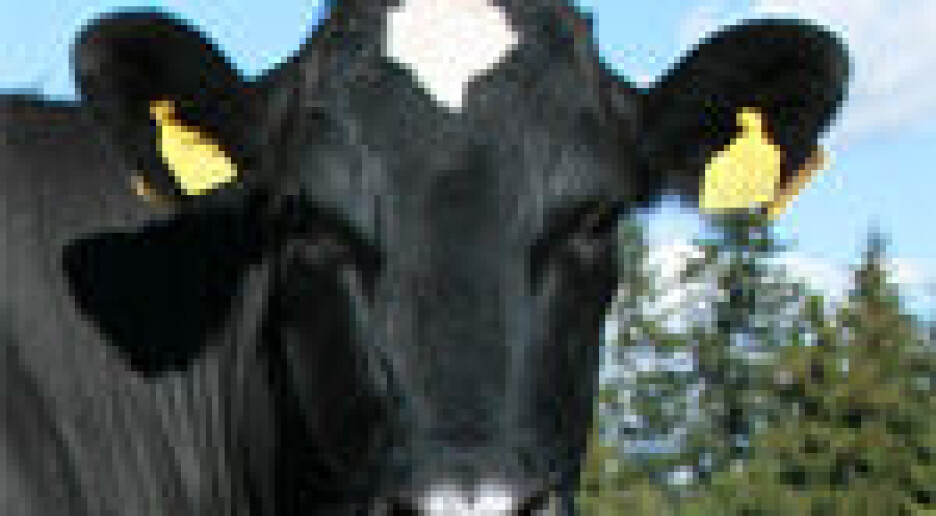 Såre tegn på dårlig velferd