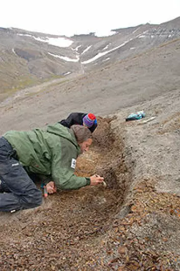 Magne Høyberget under utgraving på Svalbard 2009