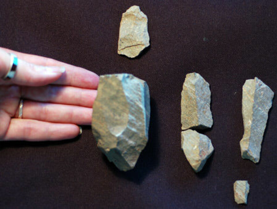 En steinkjerne nede til venstre, og tre av bladene som nettopp ble funnet i Kenya. (Foto: Cara Roure Johnson og Sally McBrearty/University of Connecticut)