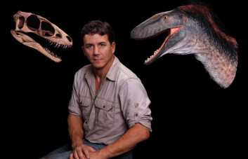 Her ses Paul Sereno mellom skallen til Raptorex og en modell av hodet som viser hvordan den skal ha sett ut i levende live. (Foto: Mike Hettwer) Her ses Paul Sereno mellom skallen til Raptorex og en modell av hodet som viser hvordan den skal ha sett ut i levende live. (Foto: Mike Hettwer)