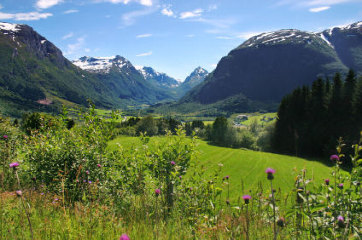 "Naturindeksen for 2010 konkluderer med at det går bedre med havet, kystvannet, ferskvann og fjell, men ikke like bra med skog- og myrområder. (Illustrasjonsfoto: iStockphoto) " "Naturindeksen for 2010 konkluderer med at det går bedre med havet, kystvannet, ferskvann og fjell, men ikke like bra med skog- og myrområder. (Illustrasjonsfoto: iStockphoto) "