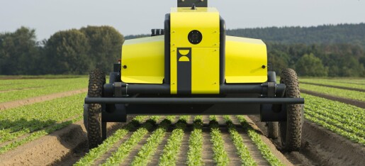 Nå inntar robotene norske grønnsakåkre Nå inntar robotene norske grønnsakåkre