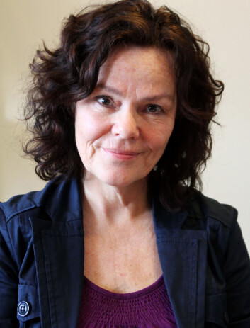 Anne Lise Ellingsæter. (Foto: Ida Irene Bergstrøm) Anne Lise Ellingsæter. (Foto: Ida Irene Bergstrøm)