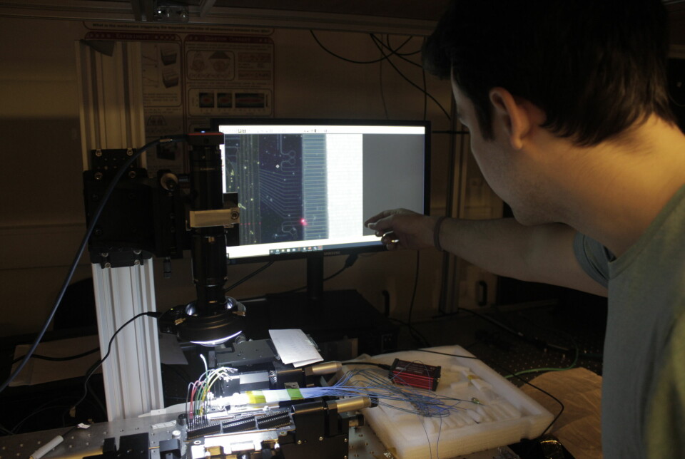 Chipen med de fotoniske kvantebitenes filmes av et mikroskop slik at forskerne kan følge med på hva som skjer i chipen når de gjennomfører forsøk.