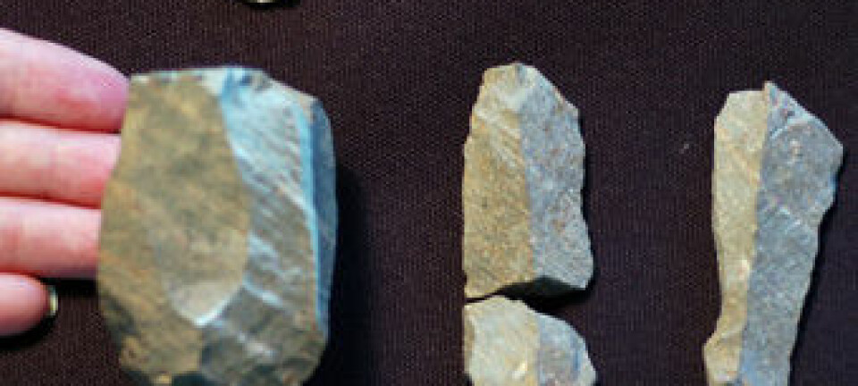 En steinkjerne nede til venstre, og tre av bladene som nettopp ble funnet i Kenya. (Foto: Cara Roure Johnson og Sally McBrearty/University of Connecticut)