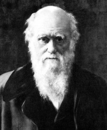 "Moltemyr Skole skriver også "moderne darwinister står for at det første livet ble utviklet ved en uintelligent tilfeldighet, men dette har de heller ikke klart å bevise." (Illustrasjon: Wikimedia Commons)" "Moltemyr Skole skriver også "moderne darwinister står for at det første livet ble utviklet ved en uintelligent tilfeldighet, men dette har de heller ikke klart å bevise." (Illustrasjon: Wikimedia Commons)"