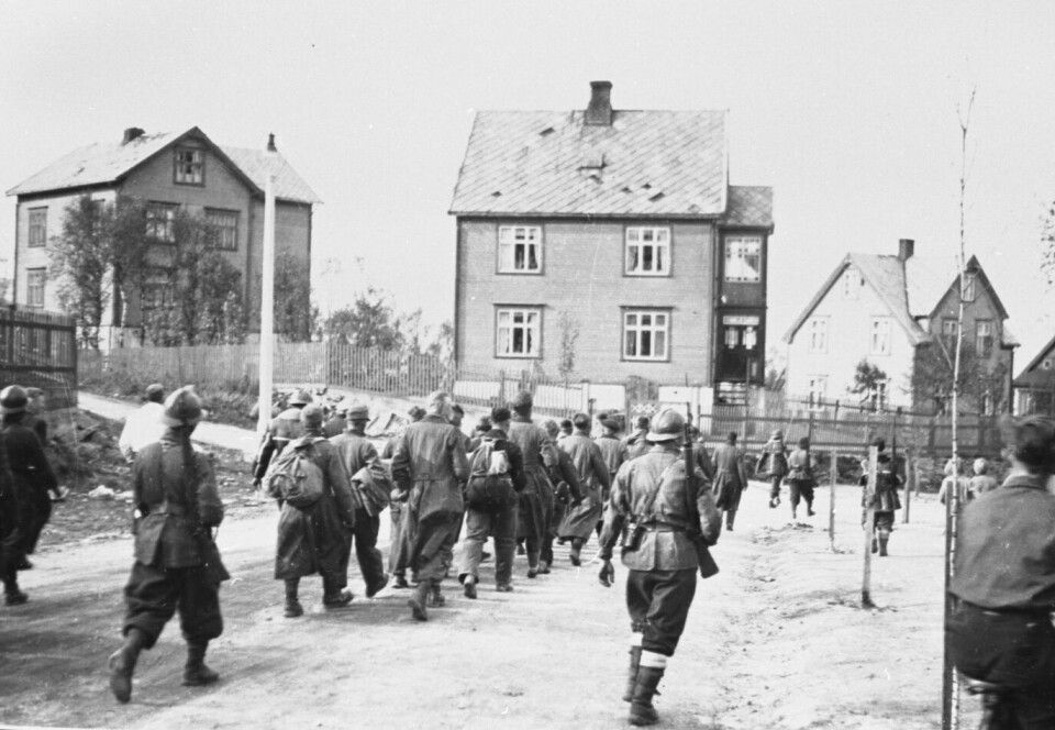 Franske fremmedlegionærer vokter en kolonne tyske krigsfanger etter gjenerobringen av Narvik.