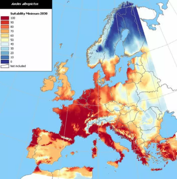 I 2030 vil tigermyggen høyst sannsynlig kunne overleve vintrene i store deler av Europa. Kartet er basert på de mest moderate spådommene for temperaturstigninger og nedbør i de kommende årene. (Kilde: European Center for Disease Control)