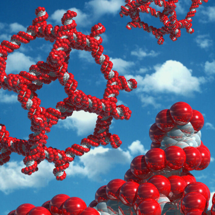 Nadrian Seeman var opprinnelig krystallograf, og fant ut at fragmenter av arvestoffet DNA kunne brukes som byggeklosser for å forme strukturer i nanostørrelse. (Illustrasjon: Kenneth Eward) Nadrian Seeman var opprinnelig krystallograf, og fant ut at fragmenter av arvestoffet DNA kunne brukes som byggeklosser for å forme strukturer i nanostørrelse. (Illustrasjon: Kenneth Eward)