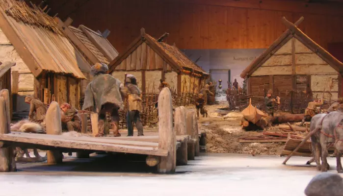 I vikingtida fantes svartrotta i flere byer i Norden. Her en modell av den svenske vikingbyen Birka, hvor det er funnet spor etter den.