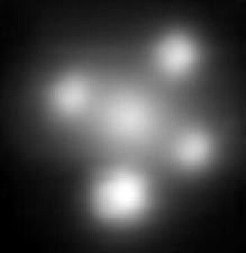 "Einsteins Kors. Lyset fra kvasaren er gjengitt fire ganger av galaksen i midten av korset. Foto: ESO/F. Courbin et al." "Einsteins Kors. Lyset fra kvasaren er gjengitt fire ganger av galaksen i midten av korset. Foto: ESO/F. Courbin et al."
