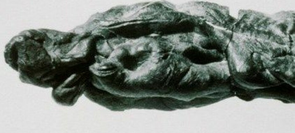 En 28 mm lang 'tyggis' av bjørkebarktjære funnet  på en boplass fra eldre steinalder ca 1000 m.o.h. i Blåsjø-området i Setesdal Vesthei. (Foto: Arkeologisk museum, Universitetet i Stavanger)