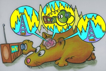 Hjernen stiller seg inn på bestemte frekvenser, akkurat som vi stiller inn radiokanal. (Illustrasjon: Håkon Fyhn) Hjernen stiller seg inn på bestemte frekvenser, akkurat som vi stiller inn radiokanal. (Illustrasjon: Håkon Fyhn)