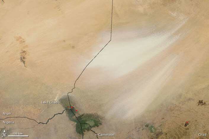På dette satellittbildet vises en sandstorm fra Bodélé-fordypningen i høyre del av bildet. Sandstormen sees som lyse "penselstrøk" mot ørkenen. Landegrenser er påført i svart. Tsjadsjøen sees markert i grønt i nederste billedkant. Bildet er tatt i desember 2008. (Foto: NASA/MODIS Rapid Response Team, Goddard Space Flight Center) På dette satellittbildet vises en sandstorm fra Bodélé-fordypningen i høyre del av bildet. Sandstormen sees som lyse "penselstrøk" mot ørkenen. Landegrenser er påført i svart. Tsjadsjøen sees markert i grønt i nederste billedkant. Bildet er tatt i desember 2008. (Foto: NASA/MODIS Rapid Response Team, Goddard Space Flight Center)