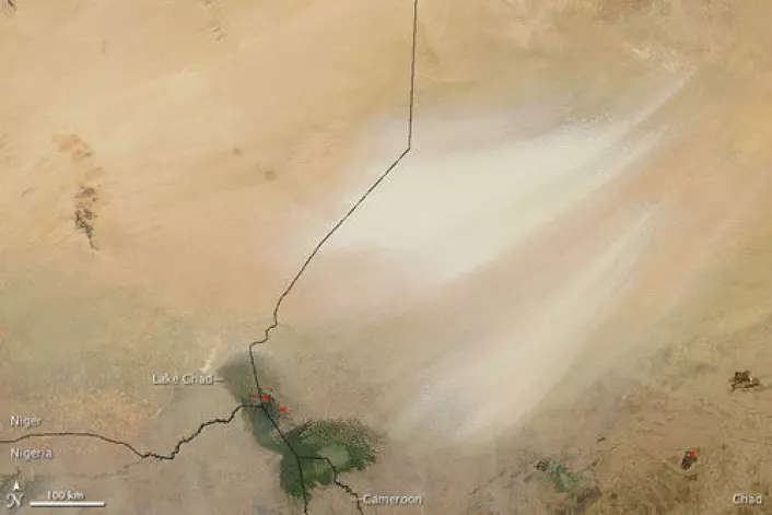På dette satellittbildet vises en sandstorm fra Bodélé-fordypningen i høyre del av bildet. Sandstormen sees som lyse "penselstrøk" mot ørkenen. Landegrenser er påført i svart. Tsjadsjøen sees markert i grønt i nederste billedkant. Bildet er tatt i desember 2008. (Foto: NASA/MODIS Rapid Response Team, Goddard Space Flight Center)