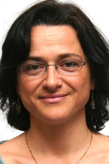 Kristin Aunan (Foto: CICERO) Kristin Aunan (Foto: CICERO)