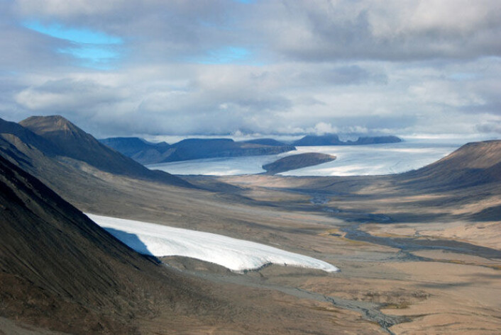 Ellesmere Island i Canda er i dag preget av arktisk klima og vegetasjon. Her er det funnet mumifiserte rester av en flere millioner år gammel skog. (Foto: Joel Barker/Ohio State University) Ellesmere Island i Canda er i dag preget av arktisk klima og vegetasjon. Her er det funnet mumifiserte rester av en flere millioner år gammel skog. (Foto: Joel Barker/Ohio State University)