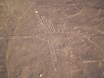 De mystiske tegningene som Nazca-sivilisasjonen etterlot seg kalles Nazca-linjer og kan kun sees fra lufta. De viser figurer eller geometriske former og har gitt opphav til mange fantasifulle spekulasjoner. (Foto: iStockphoto) De mystiske tegningene som Nazca-sivilisasjonen etterlot seg kalles Nazca-linjer og kan kun sees fra lufta. De viser figurer eller geometriske former og har gitt opphav til mange fantasifulle spekulasjoner. (Foto: iStockphoto)