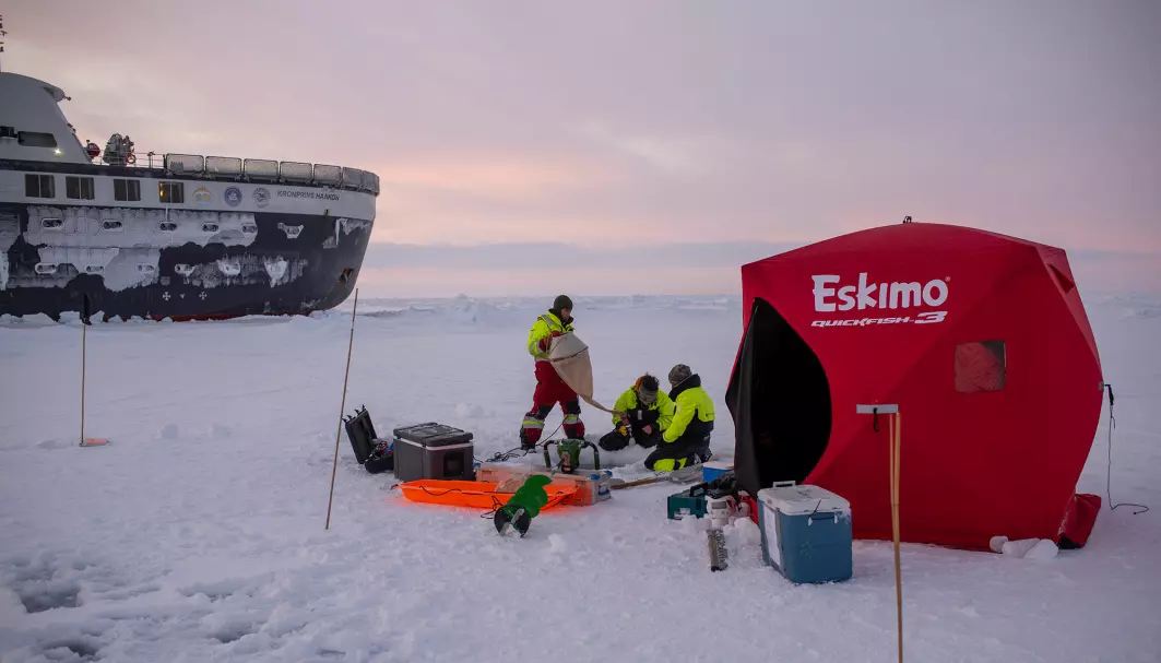 FRA TOKT - Kunnskapstoktet til Arven etter Nansen i vår/vinter 2022. Der vi tok sikte på å finne ny kunnskap om Barentshavet.