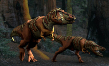 "Var det kanskje slik T-rexen så ut? Foreløpig er det en like god gjetning som alt annet. (Foto: Wikimedia Commons)" "Var det kanskje slik T-rexen så ut? Foreløpig er det en like god gjetning som alt annet. (Foto: Wikimedia Commons)"