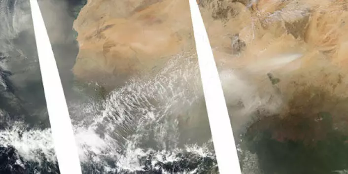 Sammensatt satelittbilde fra januar 1997 som viser Vest-Afrika. I den tredjedelen som er lengst til høyre sees Tsjad med en sandstorm markert som et lyst område i øvre del av bildet. Om vinteren går vindene oftest mot sørvest og deretter mot vest over Atlanterhavet. Støv fra sandstormene løftes opp og fraktes i samme retning over havet mot Sør-Amerika. (Foto: NASA/MODIS Rapid Response Team, Goddard Space Flight Center)