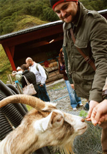Studenter fra Det gastronomiske universitetet i Italia besøkte Vestlandet i fjor høst. (Foto: Student) Studenter fra Det gastronomiske universitetet i Italia besøkte Vestlandet i fjor høst. (Foto: Student)
