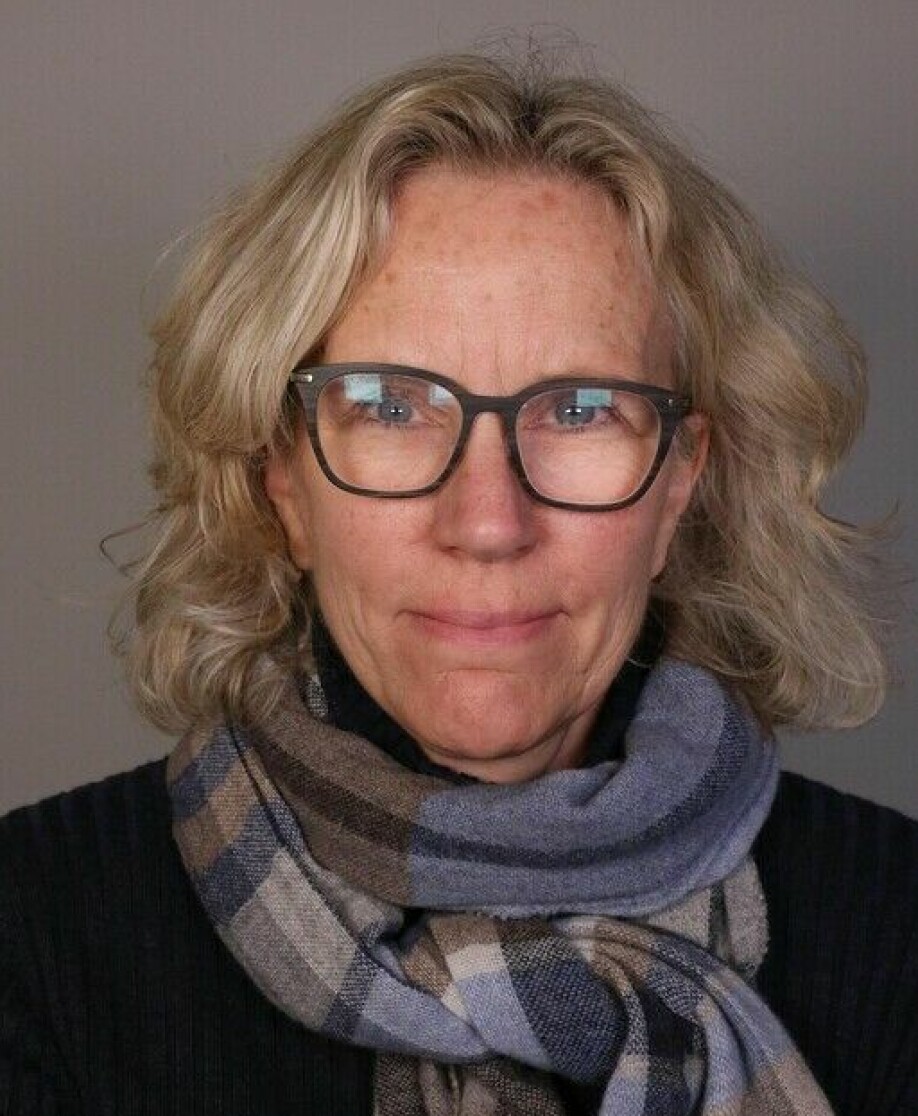 Professor Sandra L. Halverson på Institutt for fremmedspråk og oversetting.