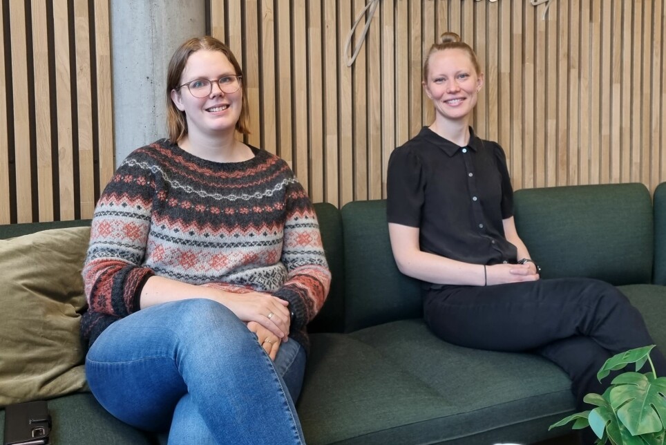 Charlotte Ringdal og Ingrid Hoem Sjursen er begge forskere ved Chr. Michelsens Institutt. De har nettopp publisert en vitenskapelig artikkel om betydningen av å måle fattigdom riktig.
