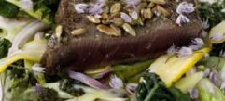 Slow food: Hval med solsikkefrø, grønnkål og gressløkblomster. Mat fraHanne Frostas kjøkken på spisestedet På Høyden. (Foto: Thor Brødreskift)