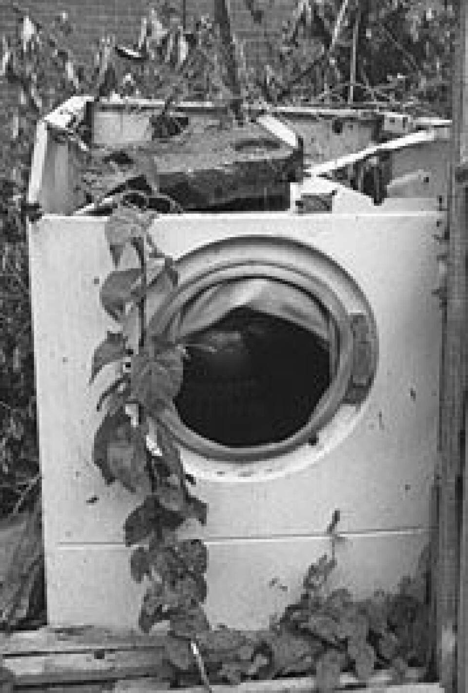 Ingenting varer evig, heller ikke vaskemaskiner. Men kan den resirskuleres?