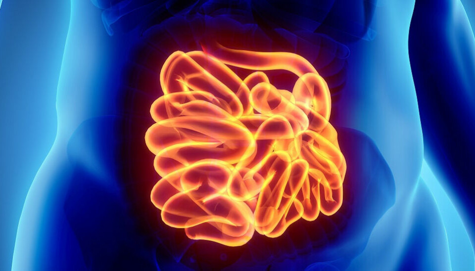 Soon you may be able to examine your bowel yourself by swallowing a pill. This new technology could become an important weapon in the fight against bowel cancer.