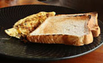 Det er ikke uvanlig at fanger fikser en omelett på cella, ifølge Ugelvik. (Illustrasjonsfoto: www.colourbox.no)