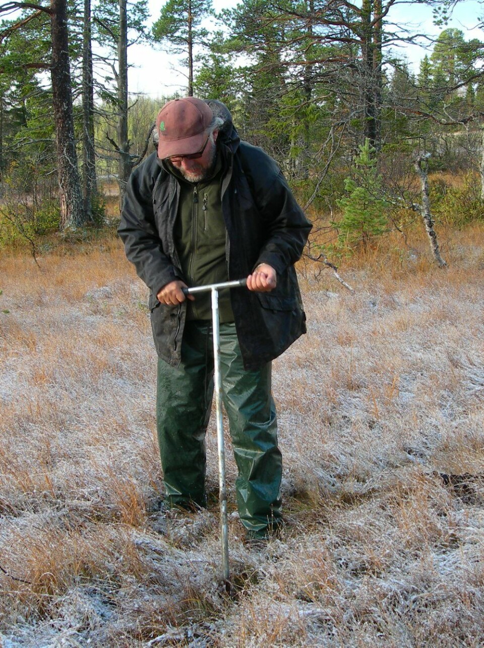 For å undersøke hva slags jord det er tas prøvene med et jordbor. (Foto: Siri Svendgård-Stokke / Skog og landskap)
