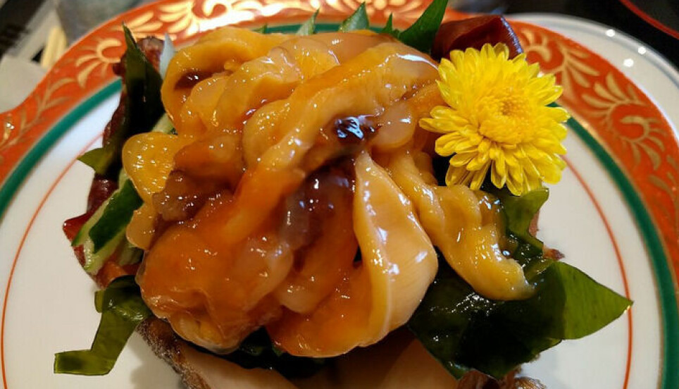 Sjøpunger av arten Halocynthia roretzi, også kalt sea pineapple på engelsk spises i Korea og Japan.