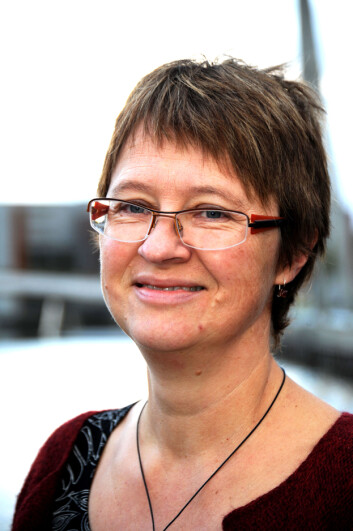 Professor Eli Støa ved NTNU leder forskingsprosjektet som skal studere og bidra med kunnskap inn i byutviklingsprosjektet. (Foto: Atle Abelsen) Professor Eli Støa ved NTNU leder forskingsprosjektet som skal studere og bidra med kunnskap inn i byutviklingsprosjektet. (Foto: Atle Abelsen)