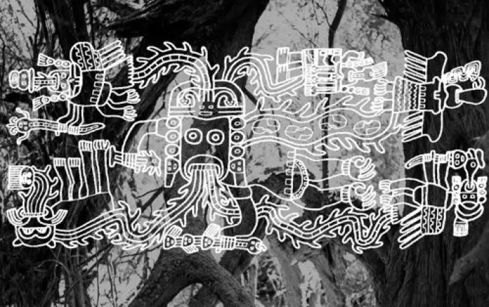 Huarango-treet kan ha vært så viktig for Nazca-sivilisasjonen at den formet kunsten dens. Noen mener å se treets buktende former i billedkunsten. Illustrasjonen består en typisk motiv hentet fra et Nazca-tekstil lagt oppe på et fotografi av et huarango-tre. Tegning av Ann Peters. (Illustrasjon: Ann Peters/David Beresford-Jones)