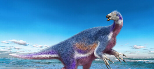 Denne dinosauren brukte de lange klørne sine til å skjære opp planter