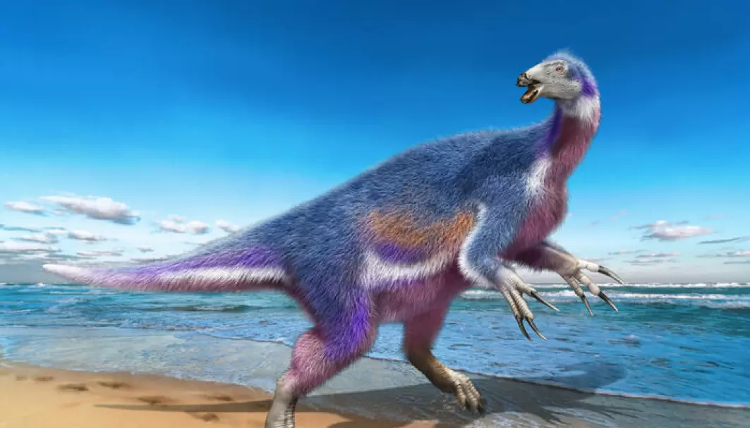 Dette er sånn en kunstner som har samarbeidet med forskere mener Paralitherizinosaurus japonicus så ut.