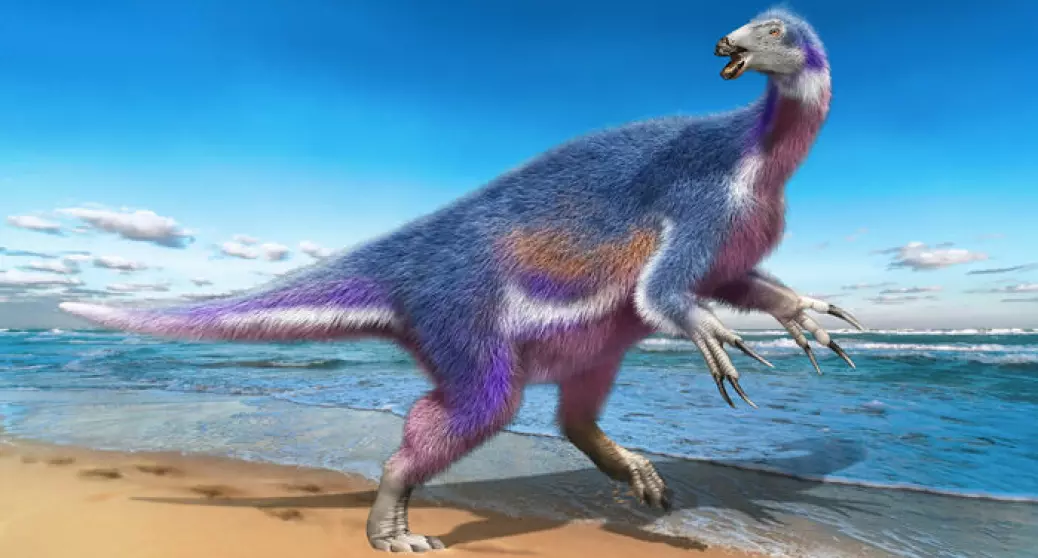 Denne dinosauren brukte de lange klørne sine til å skjære opp planter