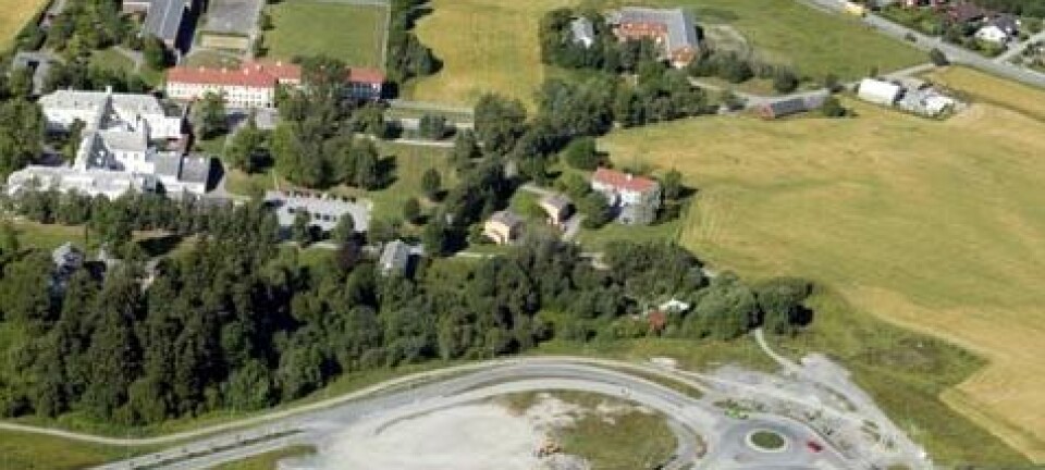 Det aktuelle området på Brøset er i dag eid av Staten og Sør-Trøndelag Fylkeskommune. Planen er å etablere 1200 boliger. Området ble i 2007 definert som et framtidig «bærekraftig område» av Trondheim kommune. (Foto: Trondheim kommune)